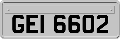 GEI6602