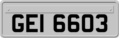 GEI6603