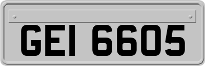 GEI6605