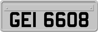 GEI6608