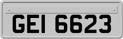 GEI6623
