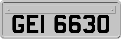 GEI6630