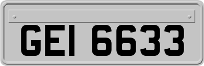 GEI6633