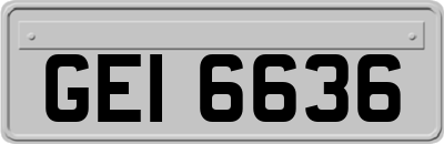 GEI6636