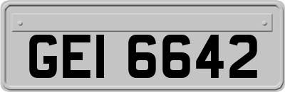 GEI6642