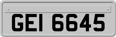 GEI6645
