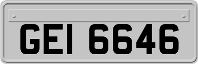 GEI6646