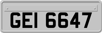 GEI6647