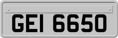 GEI6650