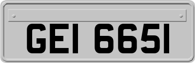 GEI6651