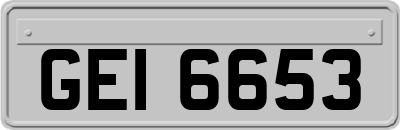 GEI6653