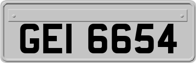 GEI6654