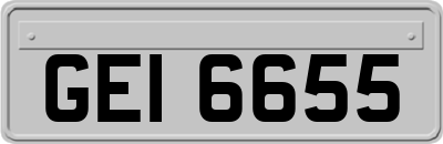 GEI6655