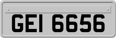 GEI6656