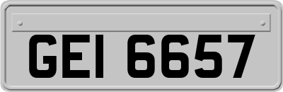 GEI6657