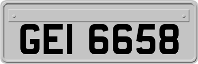 GEI6658