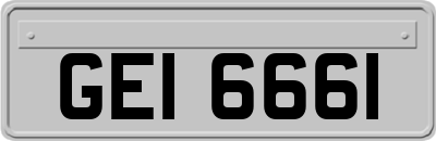 GEI6661