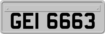 GEI6663