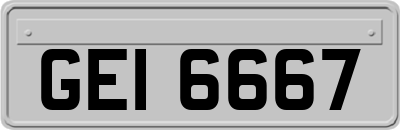GEI6667