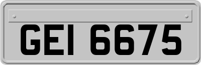 GEI6675