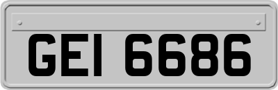 GEI6686