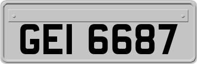 GEI6687