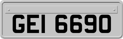 GEI6690