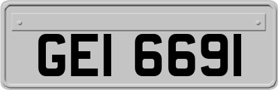 GEI6691