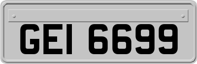 GEI6699