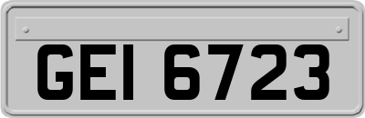 GEI6723