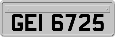 GEI6725