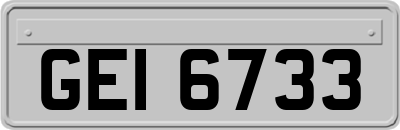 GEI6733