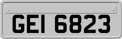 GEI6823