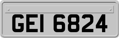 GEI6824