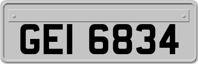 GEI6834
