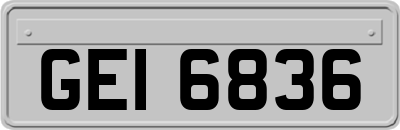 GEI6836