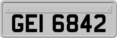 GEI6842