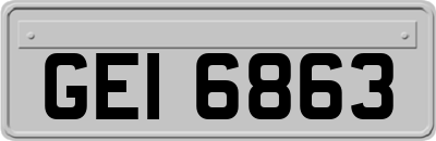 GEI6863