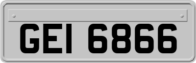 GEI6866