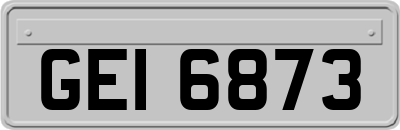 GEI6873