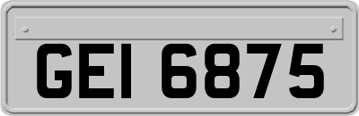 GEI6875