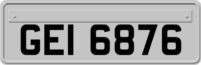 GEI6876