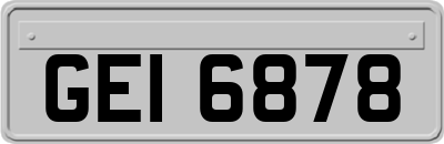 GEI6878