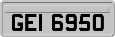 GEI6950