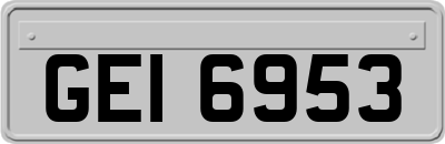 GEI6953