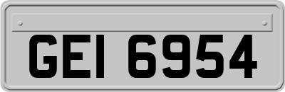 GEI6954