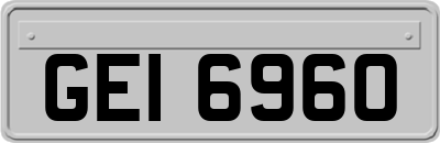 GEI6960