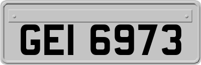 GEI6973