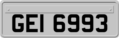 GEI6993