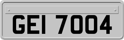GEI7004